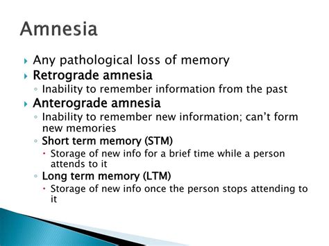 Ppt Ch 11 Learning Memory And Amnesia Powerpoint Presentation Id