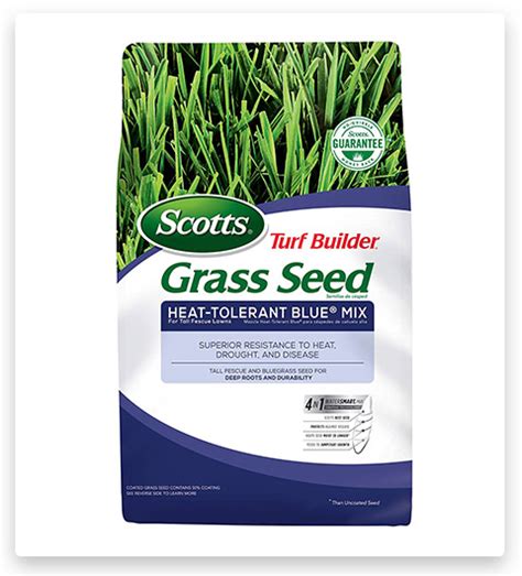 Best Drought Tolerant Grass 2023 12 Drought Tolerant Grass Seed Mix