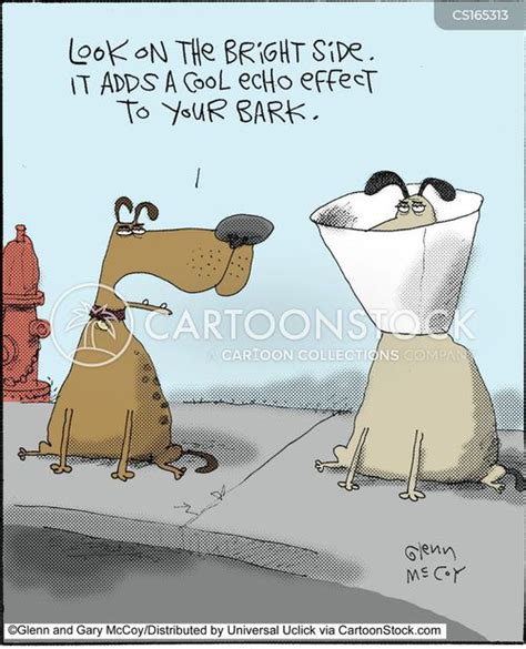 Dog Collar Cartoons And Comics Funny Pictures From Cartoonstock