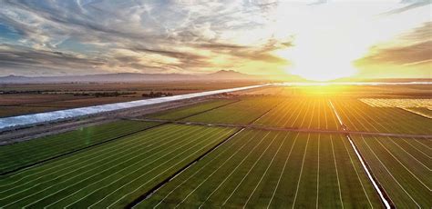 Delta lake is an open source storage layer that brings reliability to data lakes. Premium California Water Saving Sod by Delta Bluegrass Company