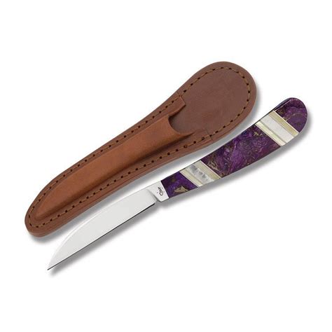 Case Exotic Purple Turq Desk Knife Knives 11121
