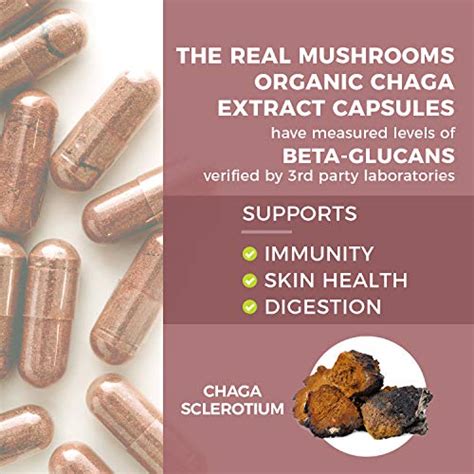 Real Mushrooms Chaga Mushroom Supplement 300ct Chaga Mushroom