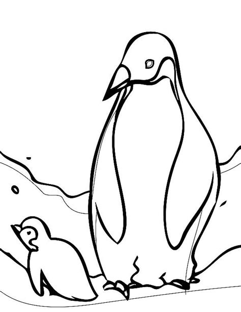 Penguin And Baby Penguin Arctic Animals Coloring Page Kids Play Color