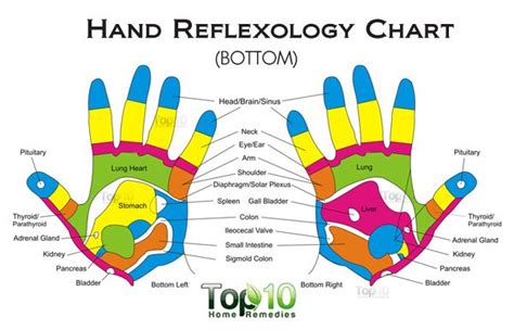 10 Health Benefits Of Reflexology As An Alternative Treatment Top 10