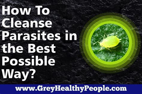 How To Cleanse Parasites In The Best Possible Way