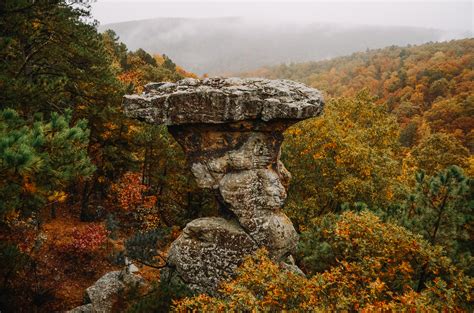The two story cabins have spectacular views of the ozark mountains and can easily accommodate a family or six guests. Buffalo River Fall Color Guide | Buffalo Outdoor Center ...