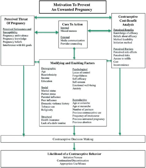 figure 1 from the health belief model can guide modern contraceptive behavior research and