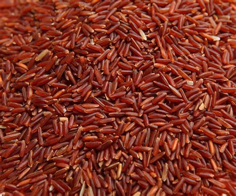 Red camargue and wild rice. red rice calories 100g