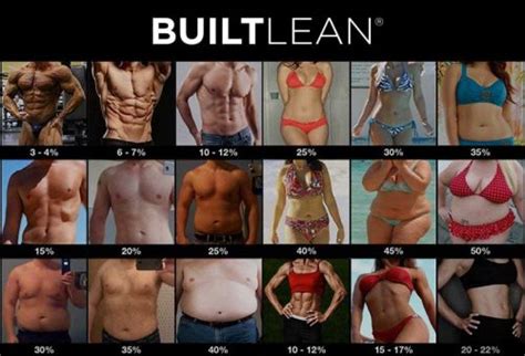 body fat percentage calculator iron built fitness