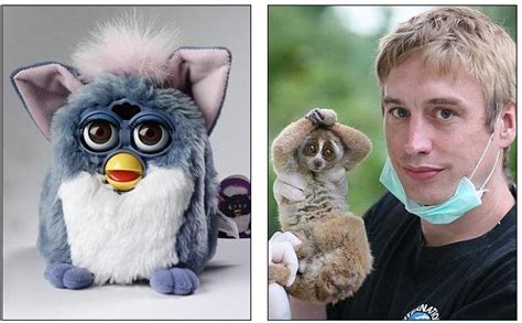 Killer Cuteness The Slow And Painful Death Of The Real Life Furbies