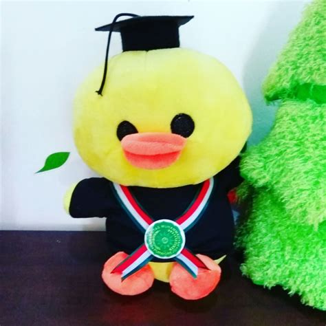 Bebek adalah burung air berukuran sedang yang terkait dengan burung air lainnya seperti angsa dan lainnya. Jual Boneka Bebek Sally Line Wisuda Murah - Kado Wisudaku