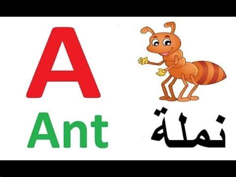 وتتكون حروف اللغة الانجليزية الأبجدية الحديثة من 26 حرف وتم استخراجها من الحروف حروف اللغة الانجليزية 26 حرفا، بها 5 حروف متحركة والباقي حروف ساكنة كونسونانت لترز. طريقة تعليم الحروف الانجليزية للاطفال بسهولة وأهمية اللغة ...