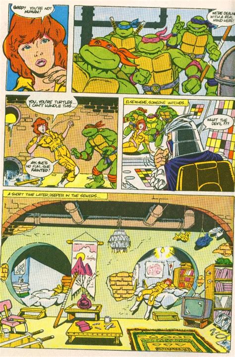 Read Online Teenage Mutant Ninja Turtles Adventures 1988 Comic Issue 1