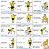 Workout Routine Back And Biceps Images