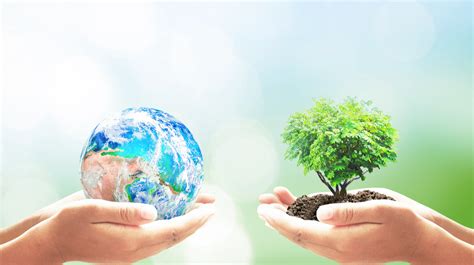 For your wallet and the planet. 20 Green Activities to Change the Way Your Small Business ...