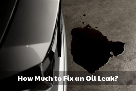 How Much to Fix an Oil Leak: 6 Factors to Consider - Brads Cartunes