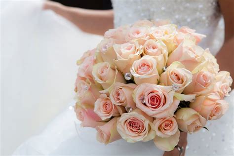 Close Up Of Pink Rose Bouquet · Free Stock Photo