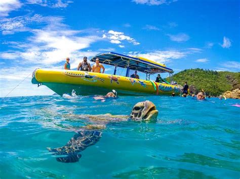 Whitsundays Rafting Snorkeling Et Vol GetYourGuide