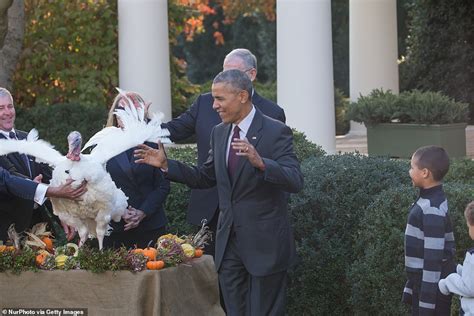 The Long Strange History Of The White House Turkey Pardon Daily Mail Online