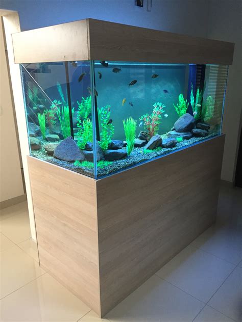 IMG_7080 - Custom Fish Tanks & Aquariums