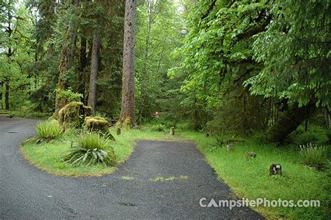 Compare lodging options and find your perfect getaway. Pin on favorite campsites at hoh campground in the rainforest