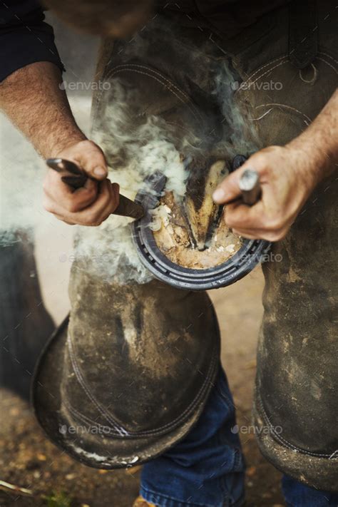 A Farrier Shoeing A Horse Bending Down And Fitting A New Horseshoe To