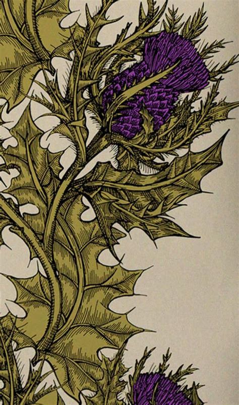 2,000+ vectors, stock photos & psd files. 44+ Bird & Thistle Wallpaper on WallpaperSafari