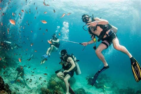 Koh Tao Scuba Diving Course A One Day Try Dive Experience Triptins
