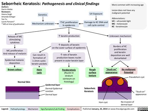 Seborrheic Keratosis Pathogenesis And Clinical Findings Calgary Guide