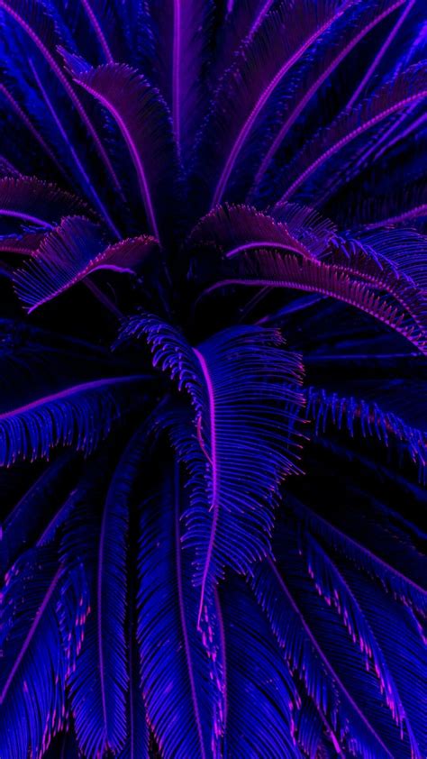 Purple Aesthetic Wallpaper Header Image 2562178 By Mariad On