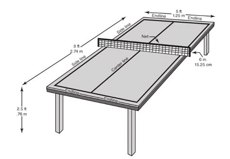 The head size of a racket is a major factor determining the size of its 'sweet spot' and in turn the consistency of power and accuracy with which a player can hit the ball. Table Tennis Table Size | F Wall Decoration