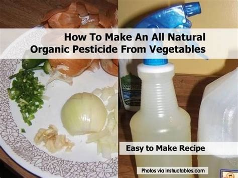 Organic standards prohibit the use of synthetic pesticides, among other things. How To Make An All Natural Organic Pesticide From Vegetables