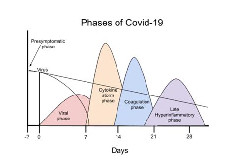 The Complex Pathogenesis Of Covid 19