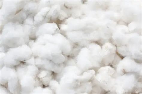 Cotton Texture Pictures Download Free Images On Unsplash