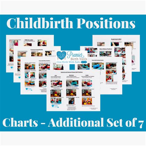 Childbirth Positions Charts Additional Set Of 7 Premier Birth Tools