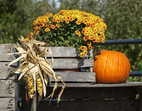 A Complete Guide To Fall Festivals In Orange County New York