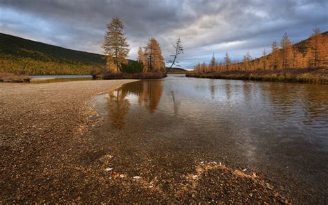 Wallpaper Kolyma River Trees Autumn Clouds 2560x1600 Hd Picture Image