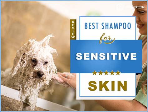6 Best Dog Shampoos For Sensitive Skin Our 2023 Guide Pawster