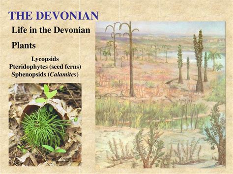 Ppt The Devonian Powerpoint Presentation Free Download Id7106307