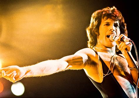 Freddie Mercury The Life Story You May Not Know Stacker