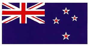 Fitch picks lower NZ house price growth but is confused about our flag ...