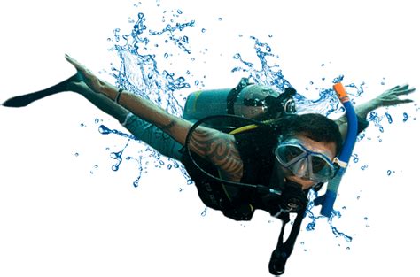 Collection Of Png Diving Pluspng