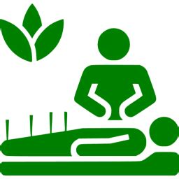 Green alternative medicine icon - Free green alternative ...