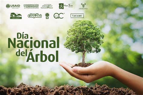 Día Nacional Del Árbol Desde Queso Del Caquetá