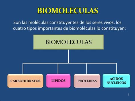 Biomoleculas De Los Seres Vivos