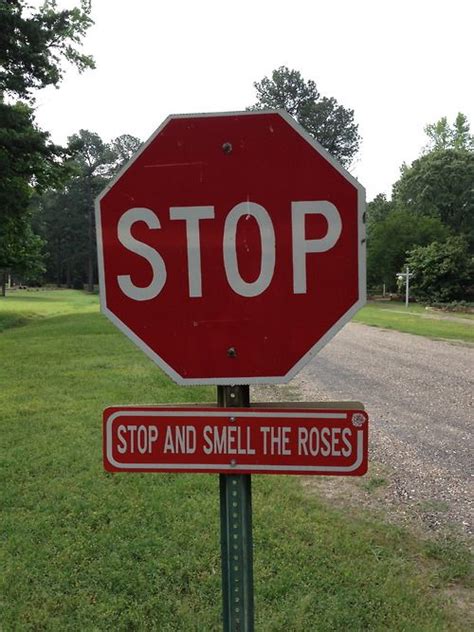 Maybe you would like to learn more about one of these? 115 best images about stop and smell the roses... on Pinterest | The flowers, Chakras and Tulip