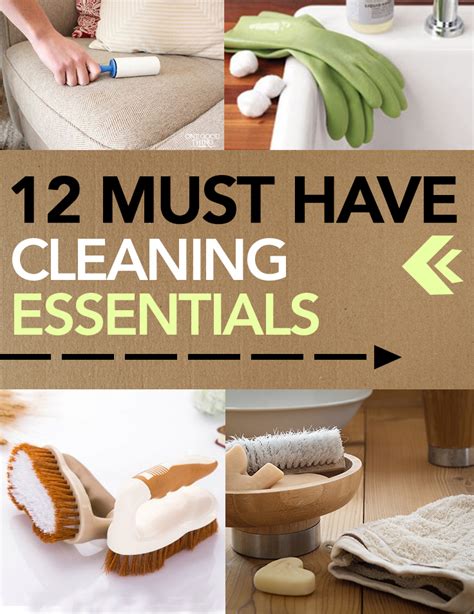 12 Must Have Cleaning Essentials The Organized Chick