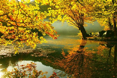 Free Download Beautiful Autumn Wallpapers Most Beautiful Places In