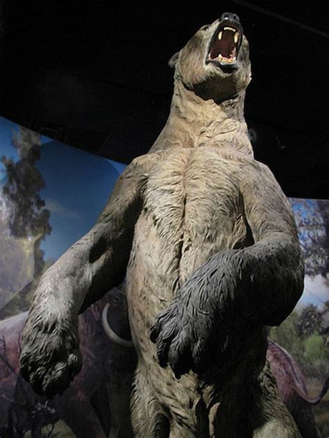 Prehistoric Giant Bear