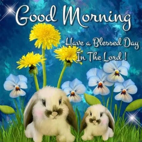 Good Morning Have A Blessed Day In The Lord Pictures Photos And